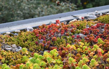 the cost of Owl End green roof installation