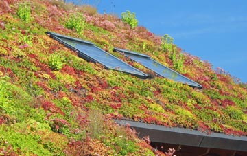 Owl End living roof systems