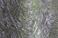 Owl End fibreglass roof work